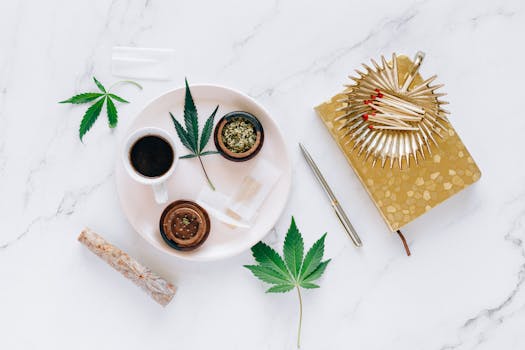 Top Doplňky pro Kuřáky: Jak Zlepšit Kouření Cigaret